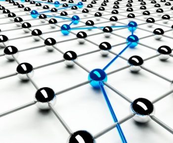 Product Management Roles